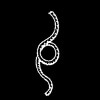 possible murder weapon rope